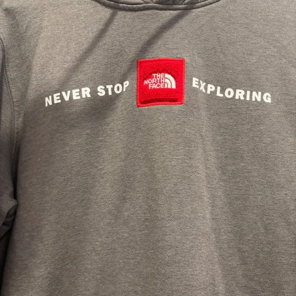 The North Face Mens Never Stop Exploring Red Box Logo Hoodie Gray Medium